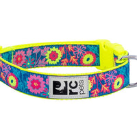RC Pets Clip Collar Flower Power (NEW) - Natural Pet Foods