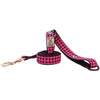 RC Pets Leash - Pink Buffalo Plaid 2' Long x 1.2" wide - Natural Pet Foods