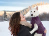 RC Pets Polaris Sweater (Plum Purple) SALE - Natural Pet Foods