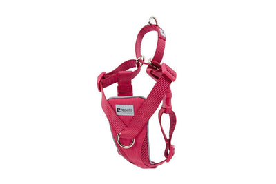 RC Pets - Tempo No Pull Harness - Azalea NEW - Natural Pet Foods