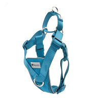 RC Pets - Tempo No Pull Harness - Teal - Natural Pet Foods