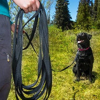 RC Pets Training Leash 3/4 x (15' or 30') - Natural Pet Foods