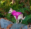 RC Pets Venture Rainwear Pink SALE - Natural Pet Foods