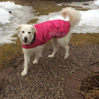 RC Pets Venture Rainwear Pink SALE - Natural Pet Foods