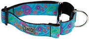 RC Pets Wide All Webbing Training Collar Tropical Paisley - Natural Pet Foods