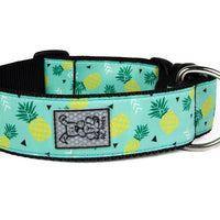 RC Pets - Wide Clip Collar - Pineapple Paradise NEW PATTERN - Natural Pet Foods