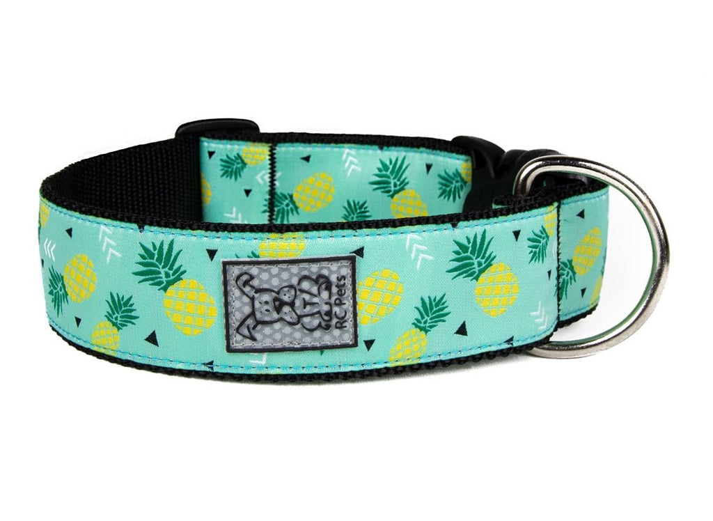 RC Pets - Wide Clip Collar - Pineapple Paradise NEW PATTERN - Natural Pet Foods
