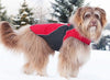 RC Trilogy Coat Dog Coat - SALE - Natural Pet Foods