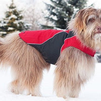 RC Trilogy Coat Dog Coat - SALE - Natural Pet Foods