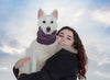 RC Pets Polaris Snood (Plum Purple) SALE