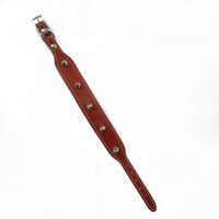 Red Leather Collar Spiked 14" $10.99 SALE!!!!! Reg 12.99 - Natural Pet Foods