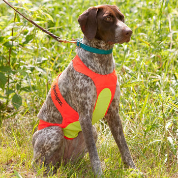 Remington - Dog Chest Protector