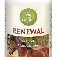 Renewal-glucosamine/MSM -1kg - Natural Pet Foods