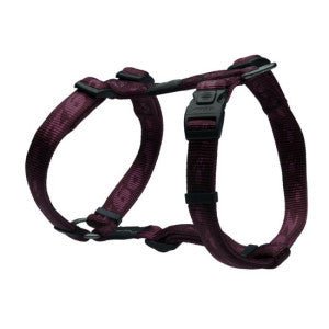 Extra large hot sale harness