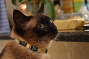 Rogz Cat Collars - Glamcat - small SALE - Natural Pet Foods