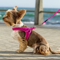 Rogz - Fast Fit Harness - Pink NEW - Natural Pet Foods