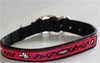 Rogz - Rhinohide Buckle Choker SALE - Natural Pet Foods