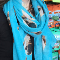 Scarf with Pug - Natural Pet Foods