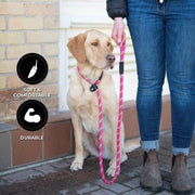 Shedrow K9 Camino Rope Slip Leash (NEW COLOURS) - Natural Pet Foods