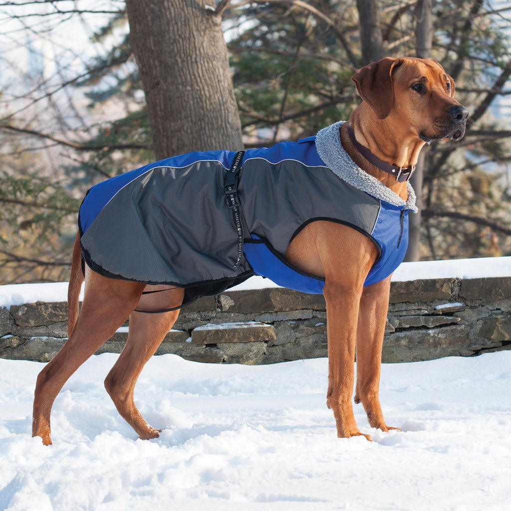 Shedrow K9 Chinook Dog Coat Blue and Grey (Discontinued)