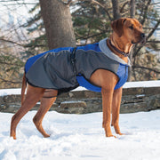 Shedrow K9 Chinook Dog Coat - Blue and Grey - Natural Pet Foods