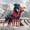 Shedrow K9 Chinook Dog Coat - Red/Grey - Natural Pet Foods