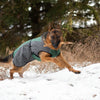 Shedrow K9 Chinook Dog Coat - Smokey Pine (NEW) - Natural Pet Foods