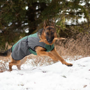 Shedrow K9 Chinook Dog Coat - Smokey Pine (NEW) - Natural Pet Foods