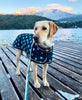 Shedrow K9 Glacier Dog Coat - Black with Teal Polka Dots SALE - Natural Pet Foods