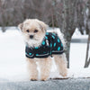 Shedrow K9 Glacier Dog Coat - Black with Teal Polka Dots SALE - Natural Pet Foods
