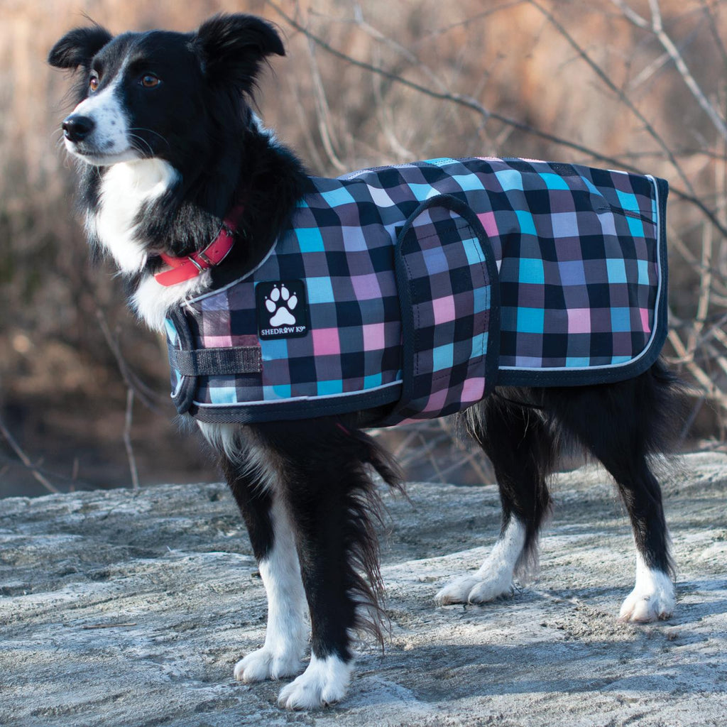 Doggie Design Alpine All-Weather Coat: Chest Extension Strap