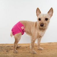 Simple Solution - Washable Cover-Ups - Female - 2 Pack - Natural Pet Foods