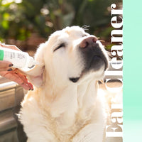 Skout's Honor Probiotic Ear Cleaner 4 oz - Natural Pet Foods