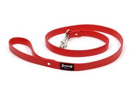 Smoochy Poochy Leather Alternative Leash - Natural Pet Foods