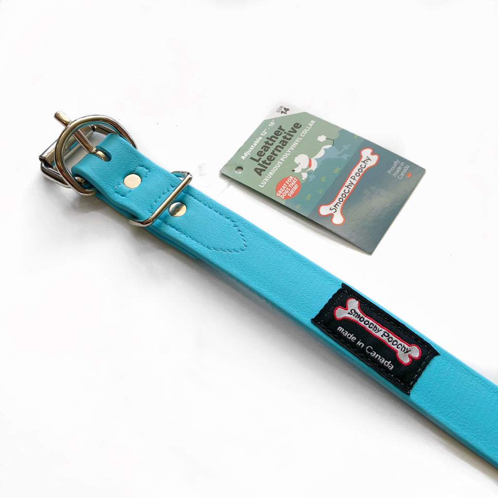Smoochy Poochy - Polyvinyl Waterproof Collar - Turquoise NEW COLOR - Natural Pet Foods