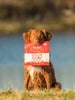 Stella & Chewy's - SuperBlends - Grass-Fed Beef Freeze Dried Dog Foods - Natural Pet Foods