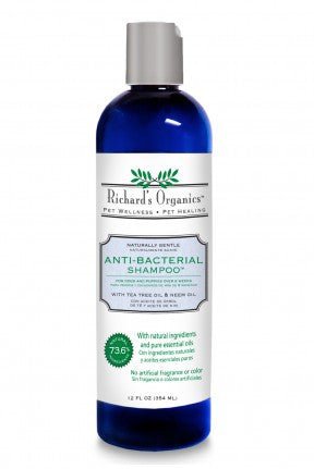 Synergy Richard's Organics- Anti Bacterial Shampoo - Natural Pet Foods