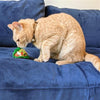 Huxley & Ken Kittybelles Plush Taco Cat Toy