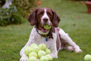 Tennis Ball - Natural Pet Foods