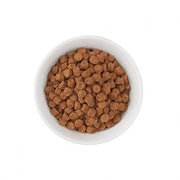 Tiki Cat Born Carnivore Dry Cat Food Herring & Salmon Meal Recipe - Natural Pet Foods