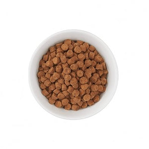 Tiki Cat Born Carnivore Dry Cat Food Herring & Salmon Meal Recipe - Natural Pet Foods