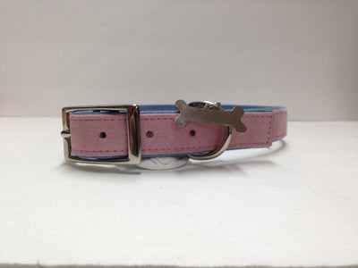 Too Fashionable Pink Collar with Blue Rim 26