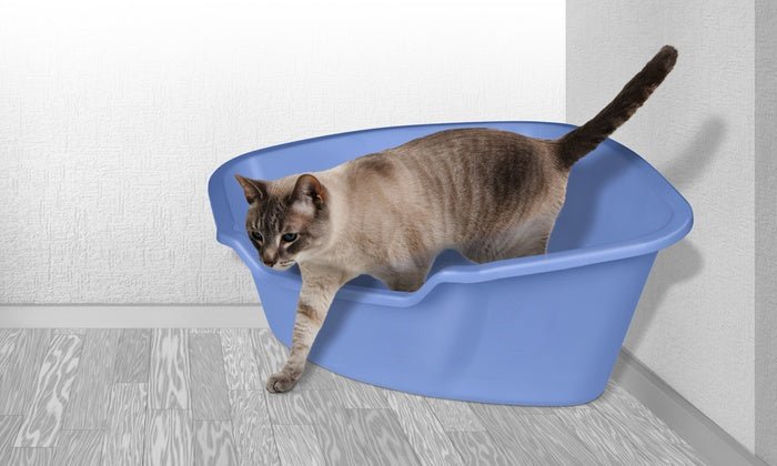 High sided corner litter box sale