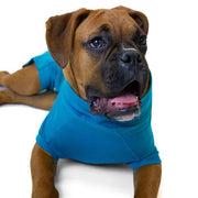 VetMedWear Recovery Suit - Natural Pet Foods