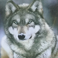 Wall Art - Light Up Canvas - Wolf - Natural Pet Foods