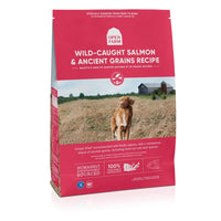 Wild-Caught Salmon & Ancient Grains Dry Dog Food - Natural Pet Foods