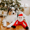 Zippy Paws Holiday Crinkle - Santa Small - Natural Pet Foods