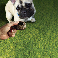 Zooma Chew- Tossin' Tire NEW - Natural Pet Foods